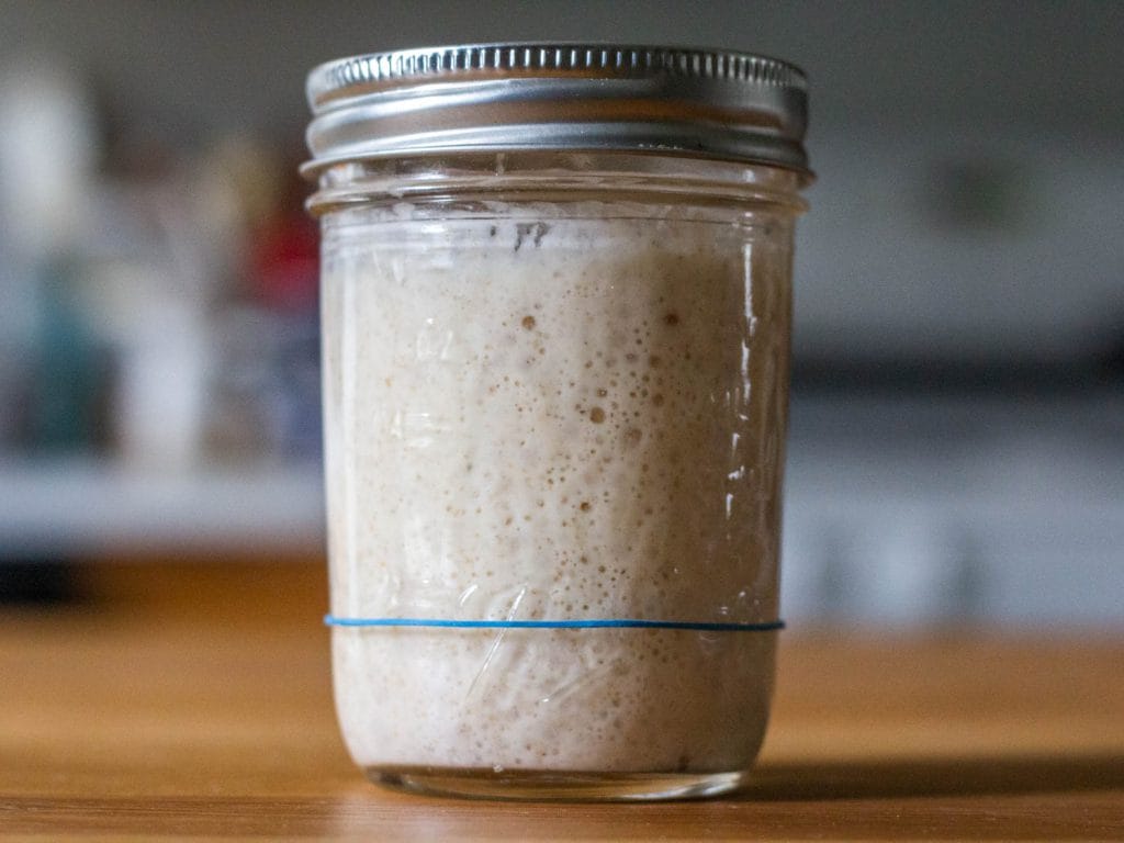 Einkorn Bread Recipe: Siyez Flour Sourdough 4 Siyez Flour Bread Recipe - Sourdough increased 4 times on the 3rd day
