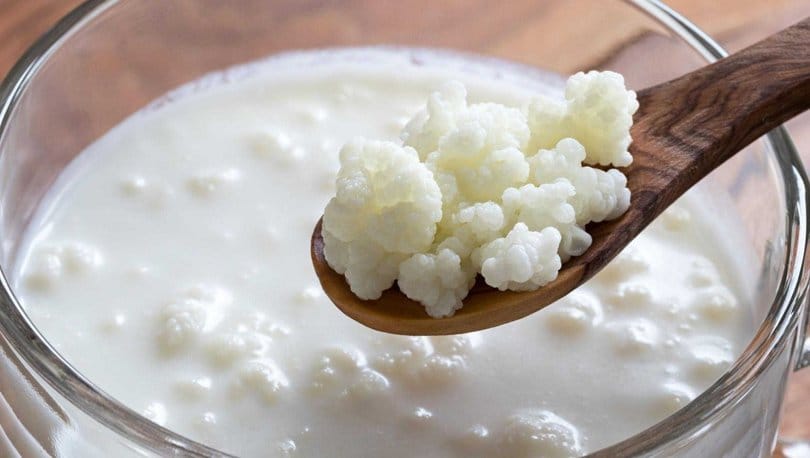 Krem Fraiche Tarifi - Süt'e kefir mayası eklenerek elde edilen olgunlaşmış kefir