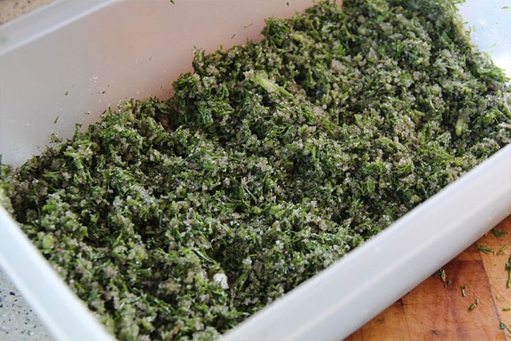 Rezept für Graved Lachs: Lachs-Graved Lachs 4 Trockenpökeln in Salzlake